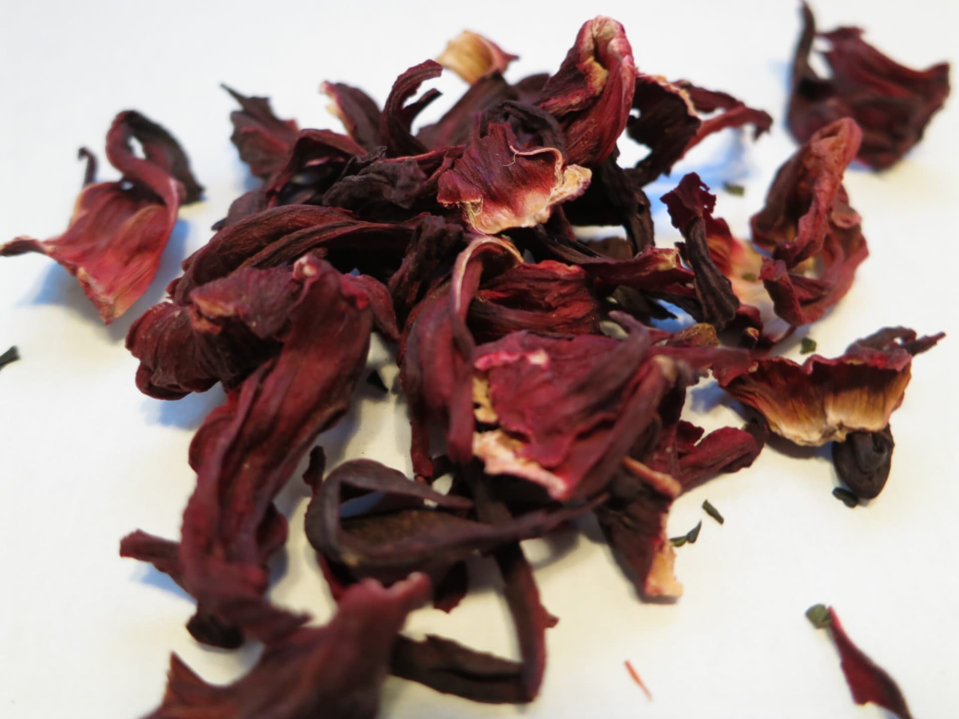 Hibiscus
