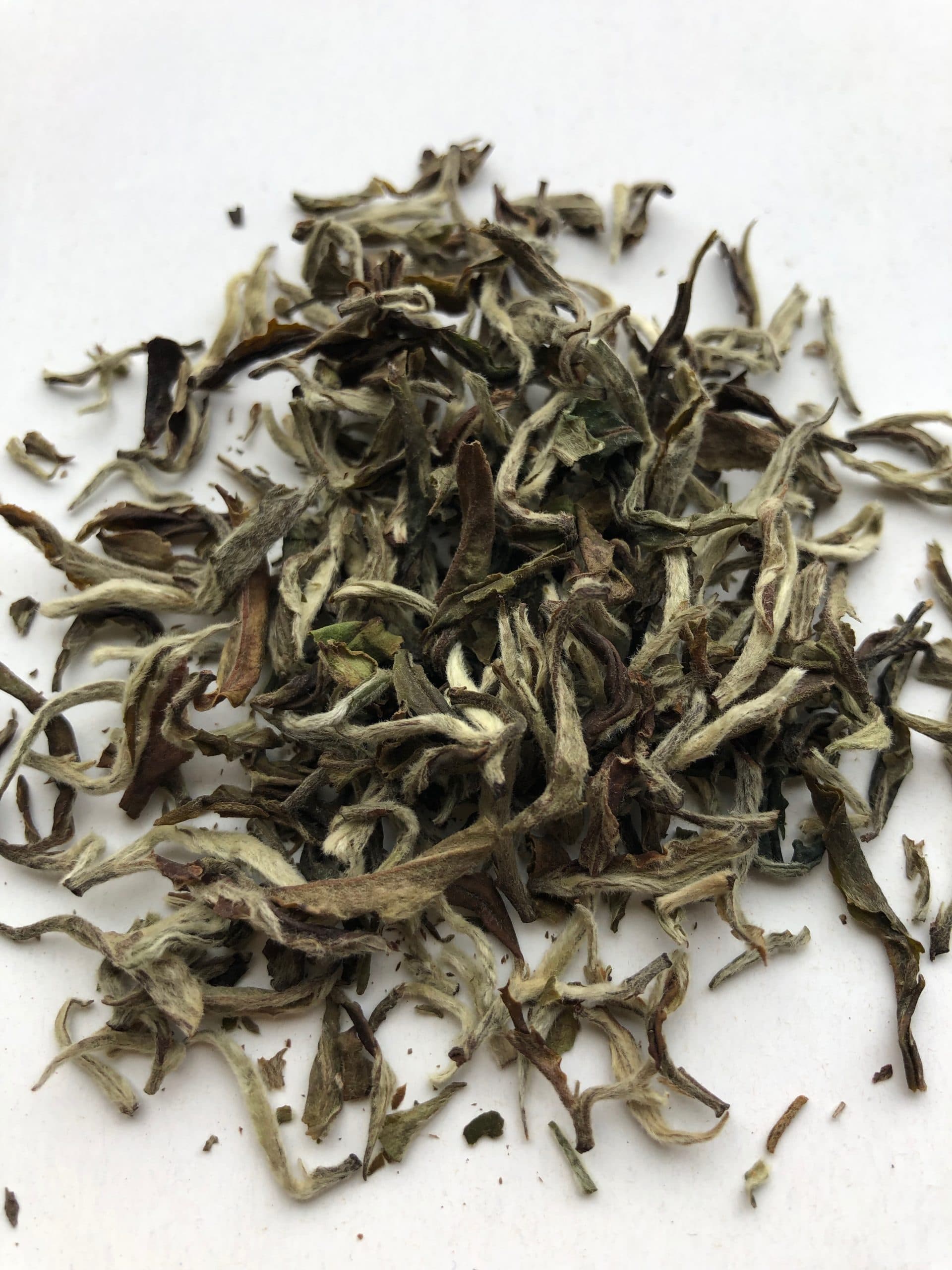 Organic White Prakash
