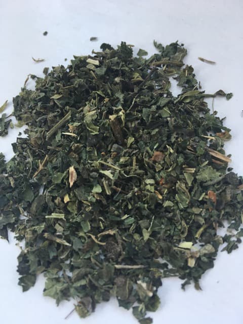 nettle.jpeg