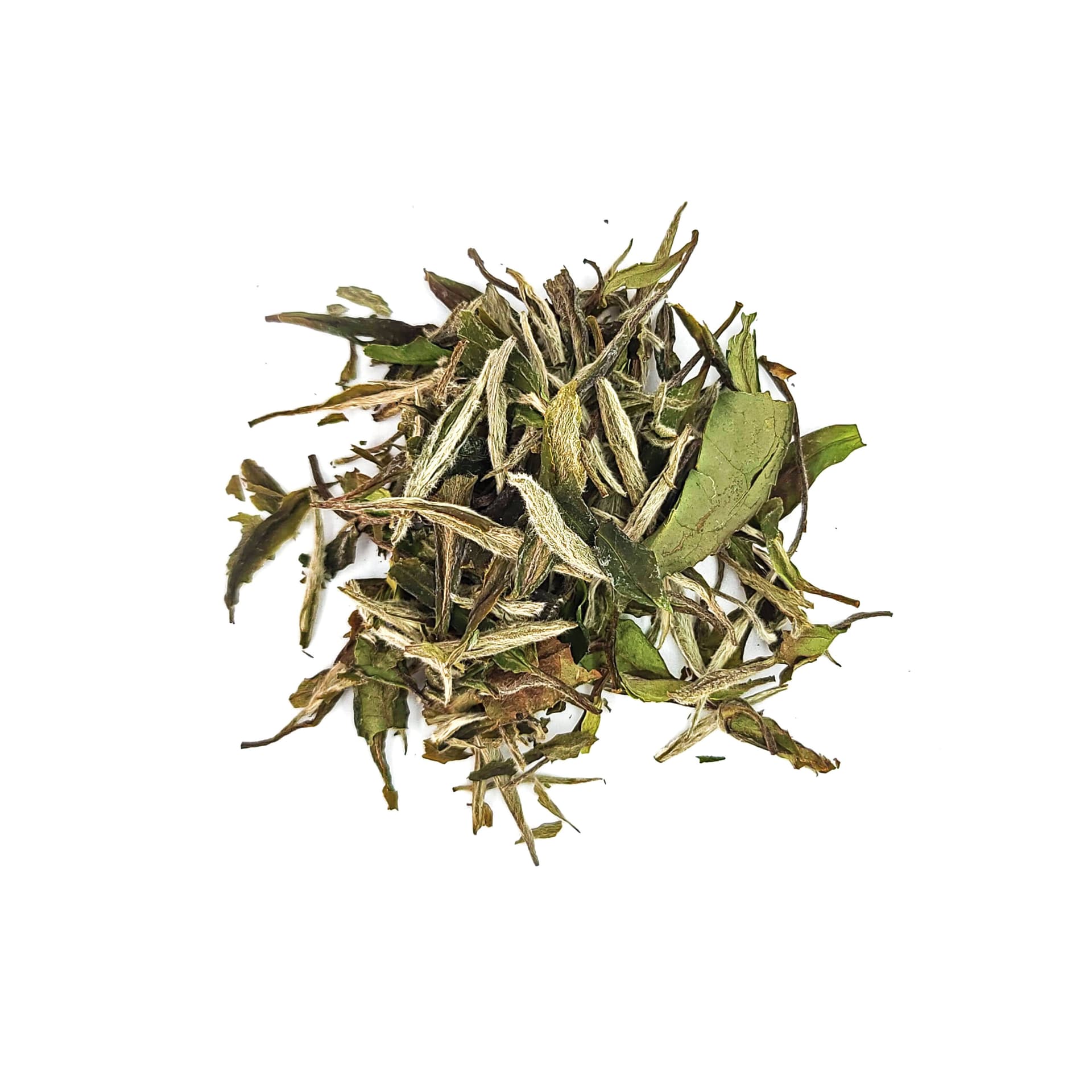 Pai Mu Tan