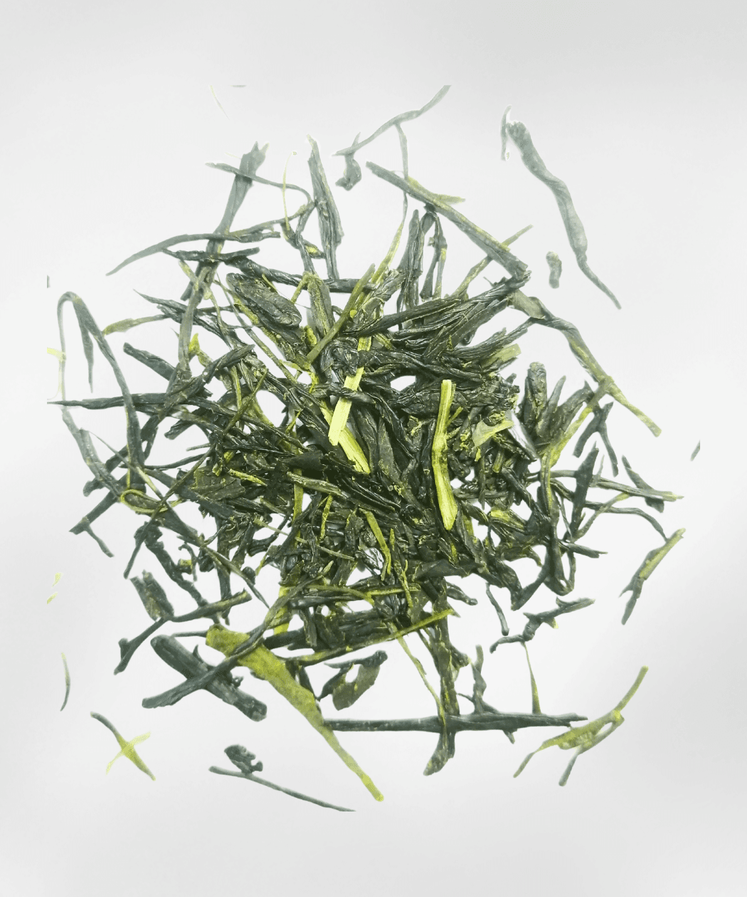 Kabuse Yabukita shaded sencha Sasama Shizuoka 80g