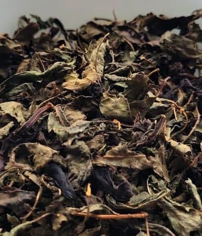 Broadleaf Meadowsweet Tea