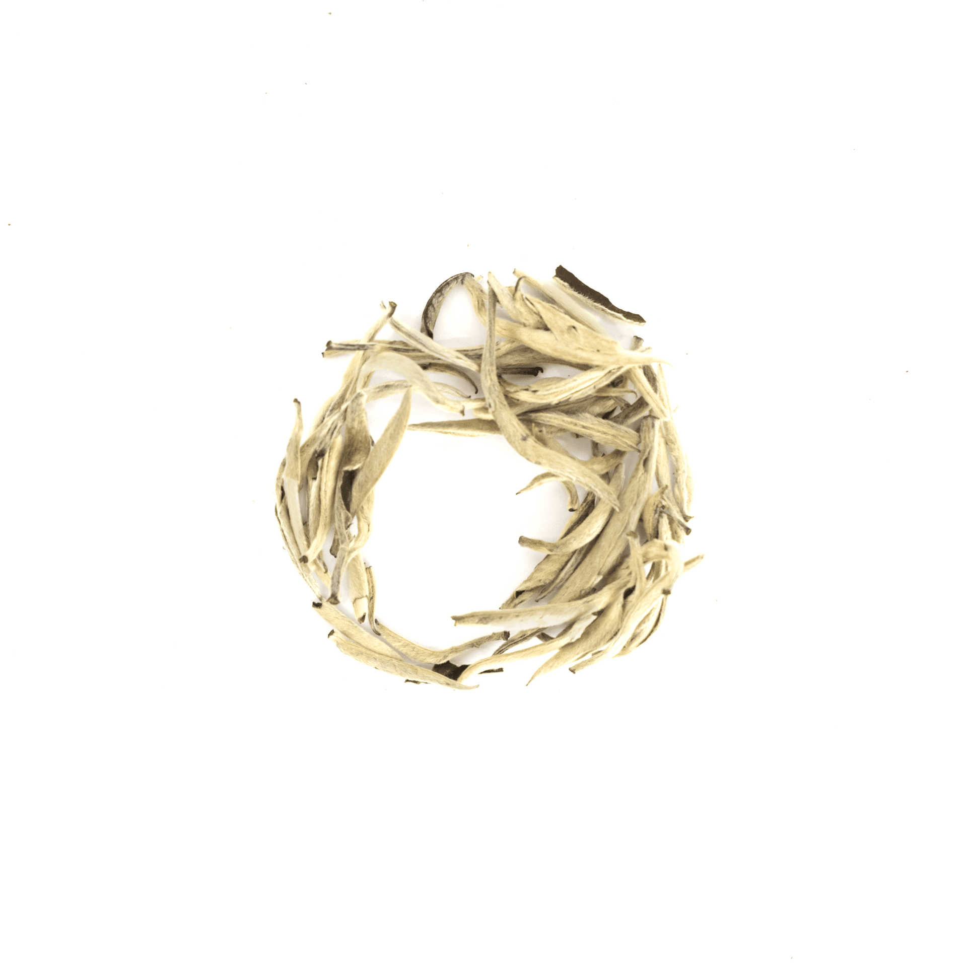White Needle Tea – Yin Zheng