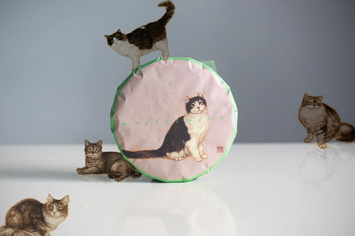 mastermind-menghai-shou-puer-1