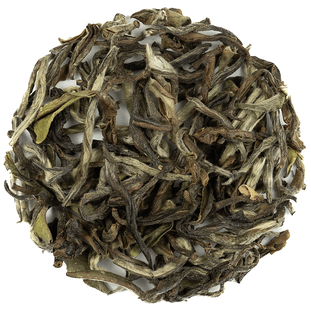 Chiyabari First Flush Tea