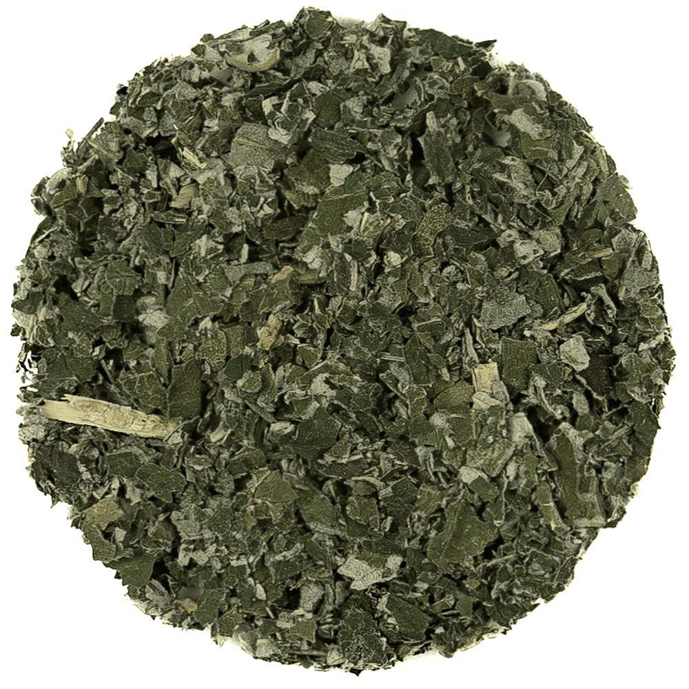 Raspberry Leaf Tea