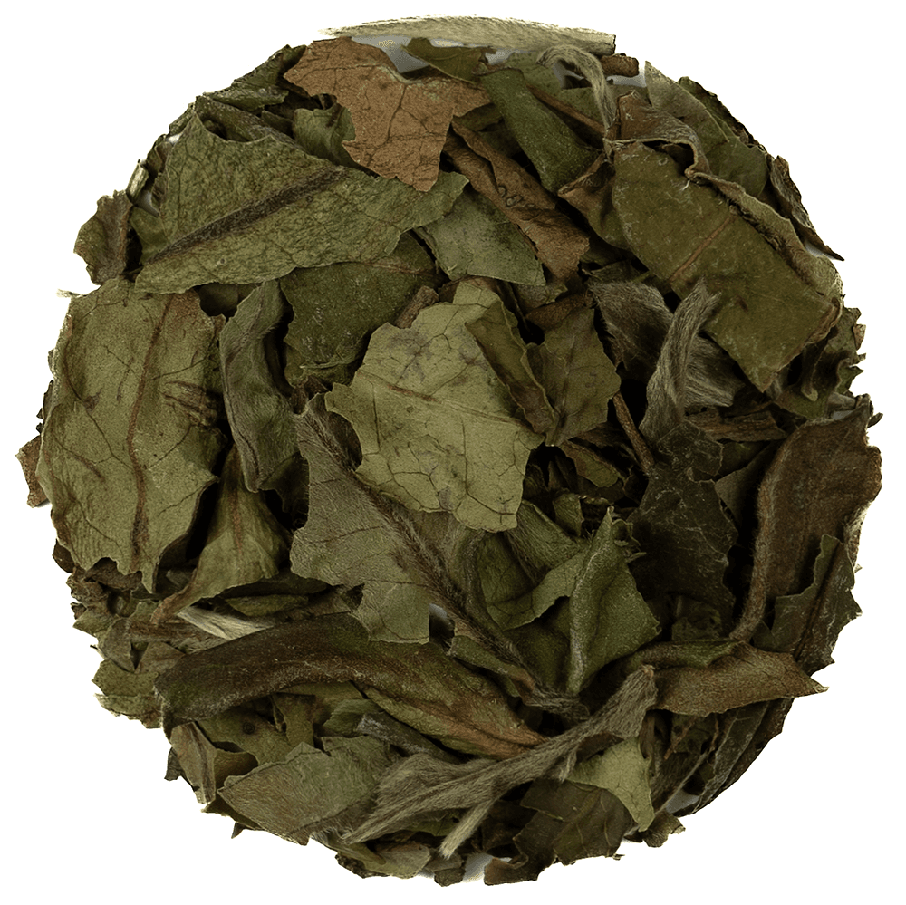 White Peony Tea