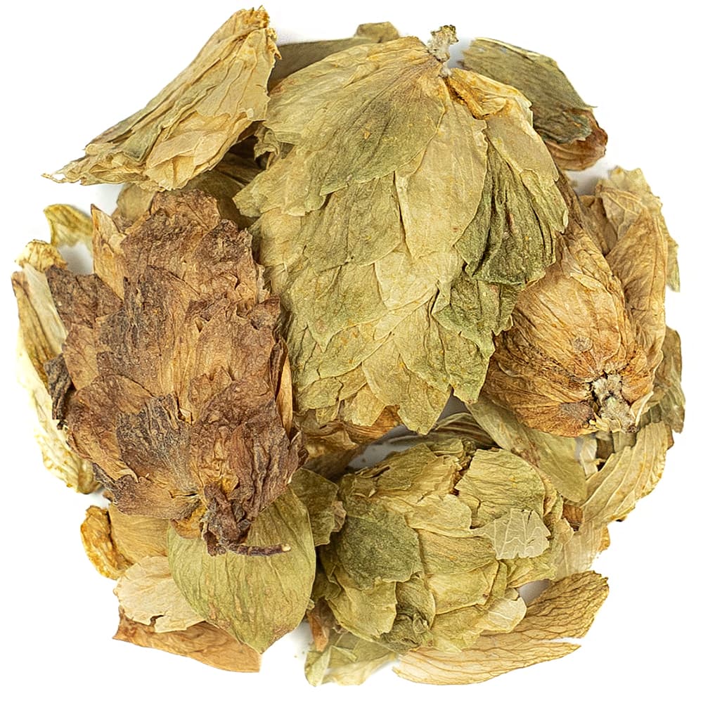 Hops Tea