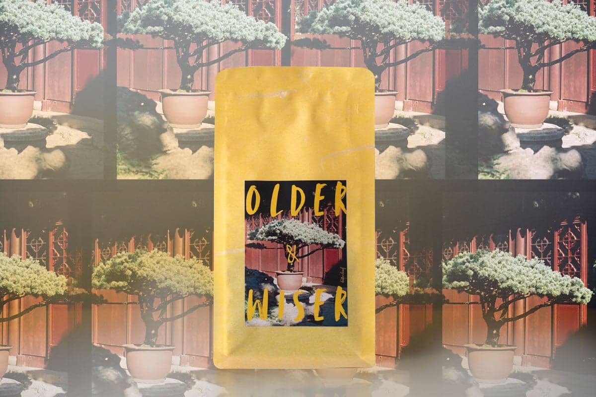 Older & Wiser 80s Liu Bao Heicha