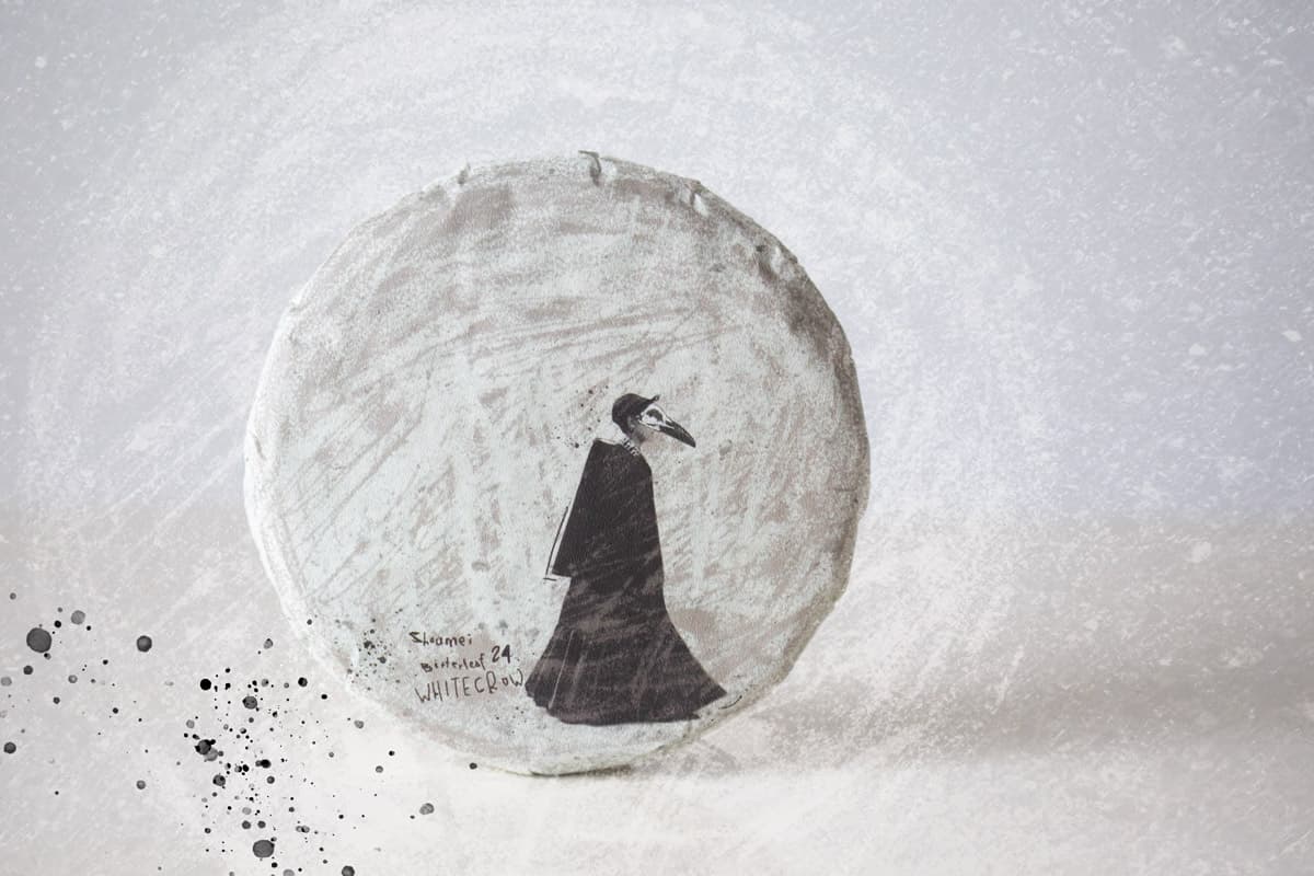white-crow-2024-lincang-shoumei-white-tea-1