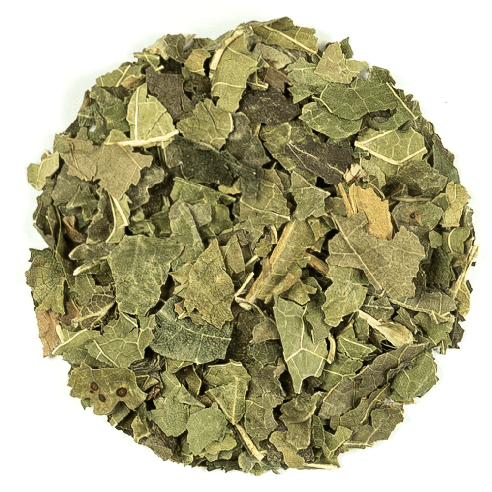 Mulberry Leaf Tea